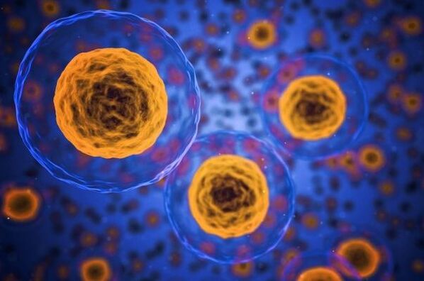 Como acontece o processo de perda de peso