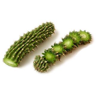 hoodia gordonia - composição Reduslim