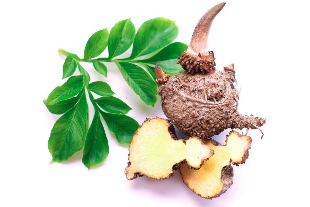 tubérculos de plantas konjac - composição Reduslim
